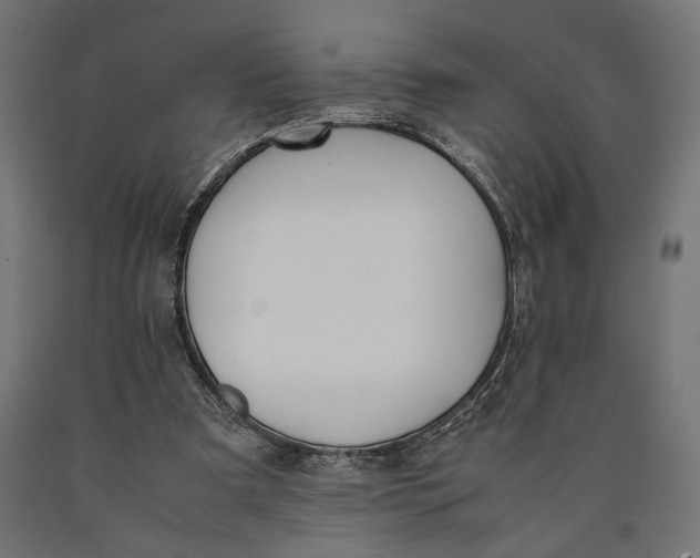 X0000090410297200708031048