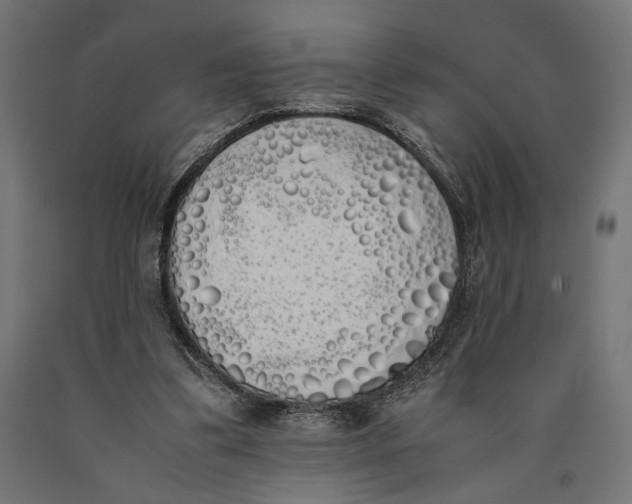 X0000090410299200708031048