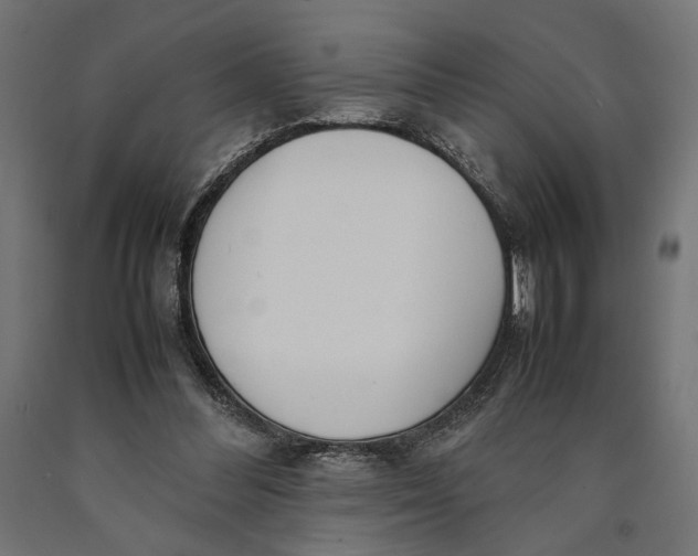X0000090410300200708031048