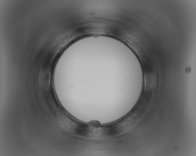 X0000090410301200708031048