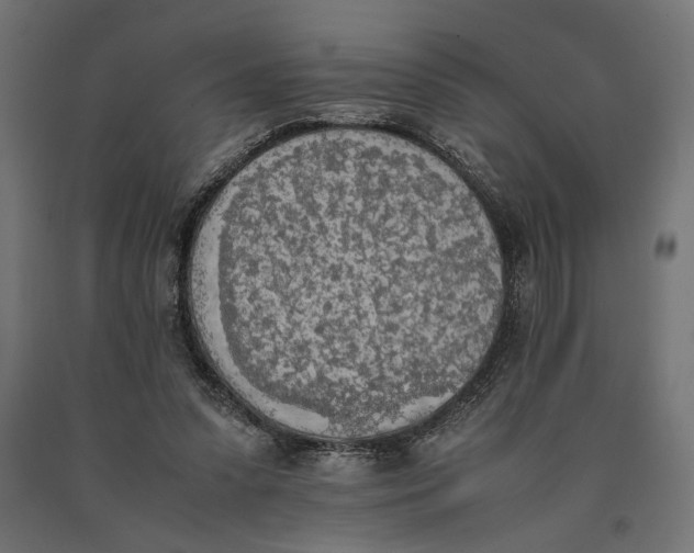 X0000090410303200708031048