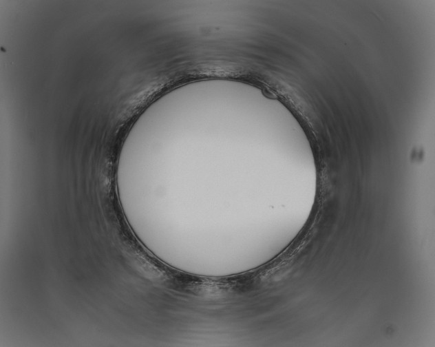 X0000090410305200708031048