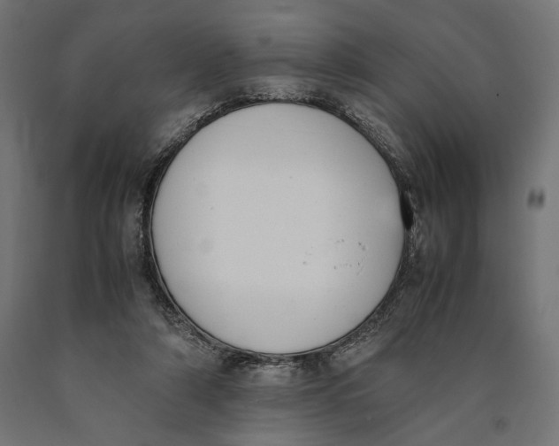 X0000090410306200708031048