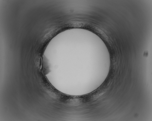 X0000090410307200708031048