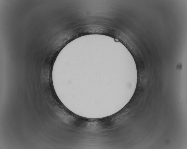 X0000090410309200708031048