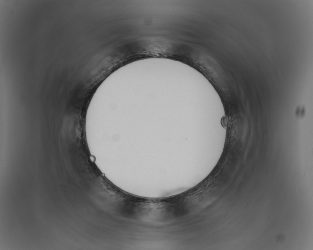 X0000090410313200708031048