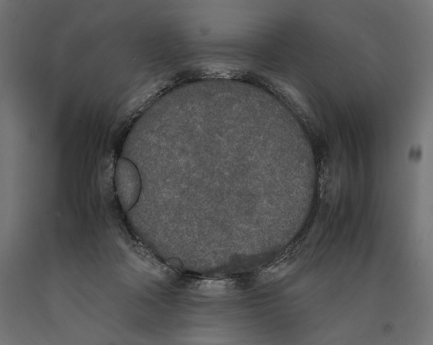 X0000090410314200708031048