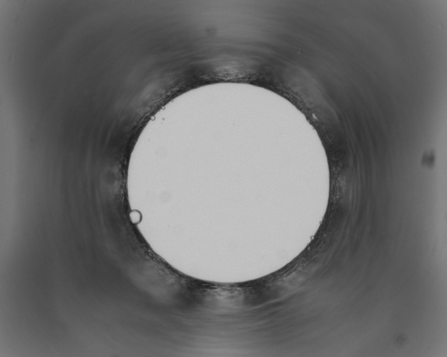 X0000090410317200708031048