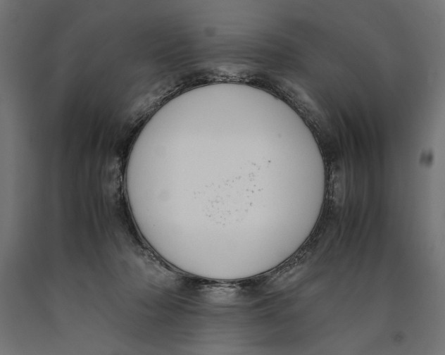 X0000090410318200708031048