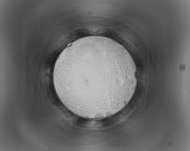 X0000090410319200708031048