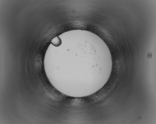 X0000090410320200708031048