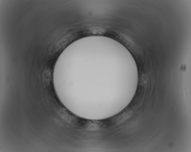X0000090410321200708031048