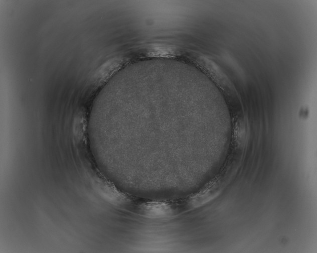 X0000090410322200708031048