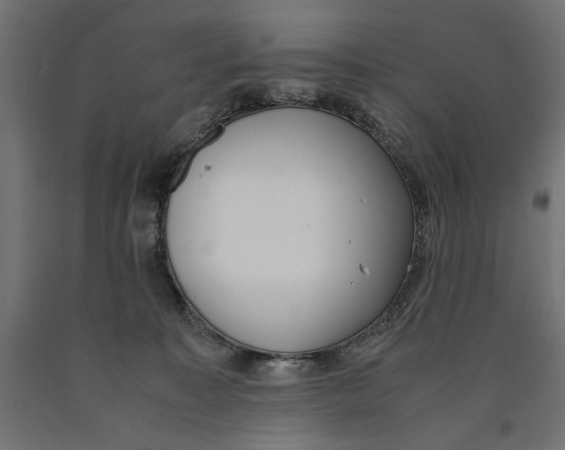X0000090410323200708031048
