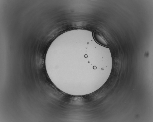 X0000090410324200708031048
