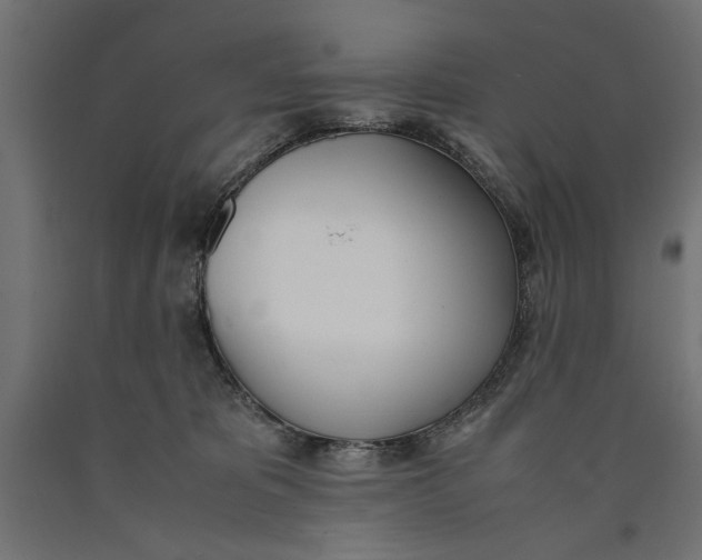 X0000090410325200708031048