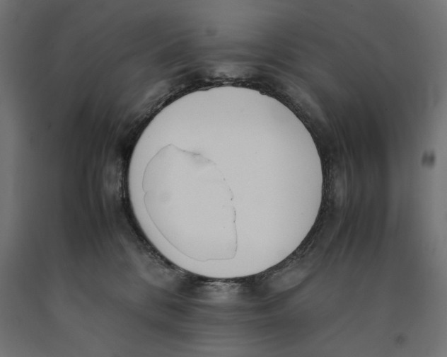 X0000090410328200708031048