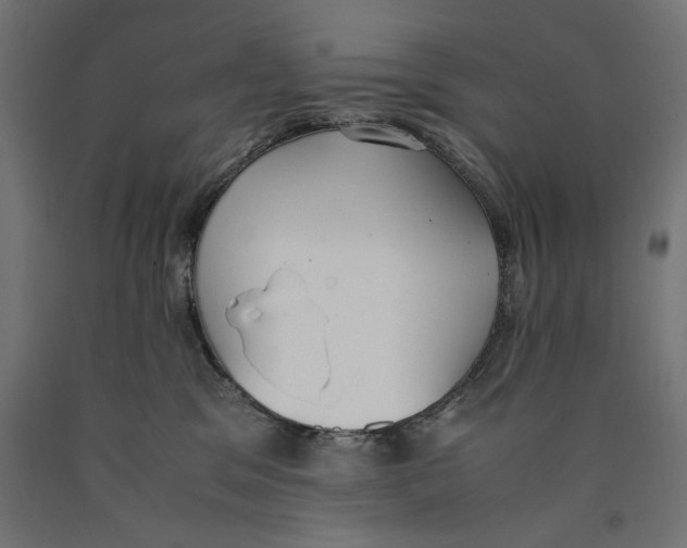 X0000090410329200708031048