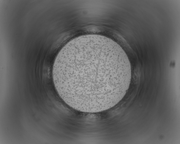 X0000090410330200708031048