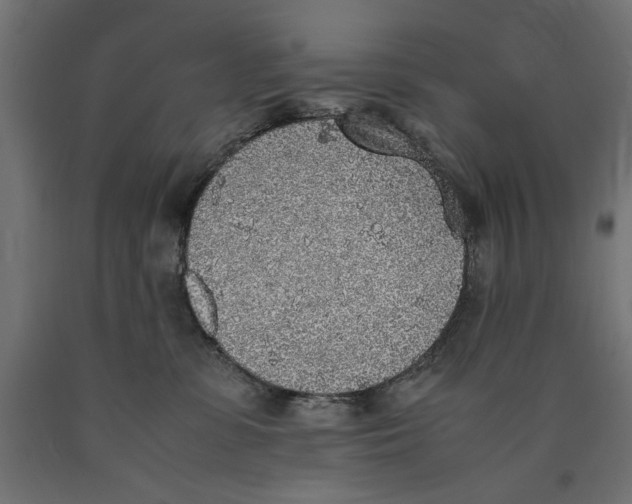 X0000090410331200708031048