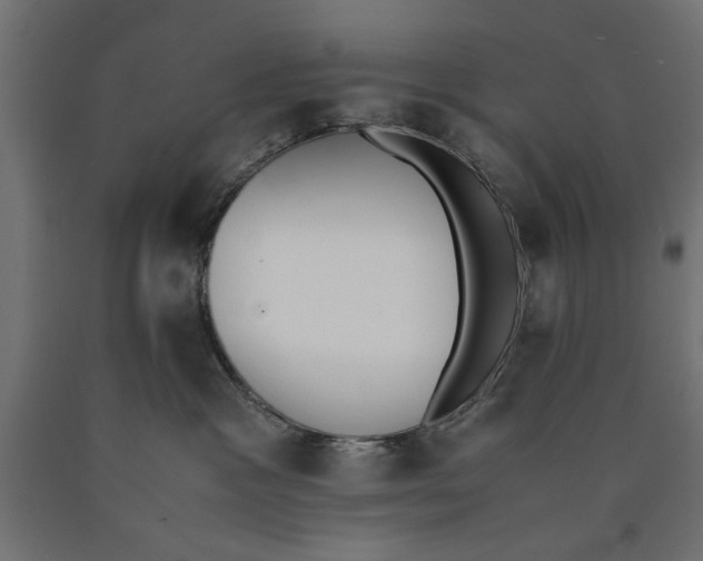 X0000090410333200708031048