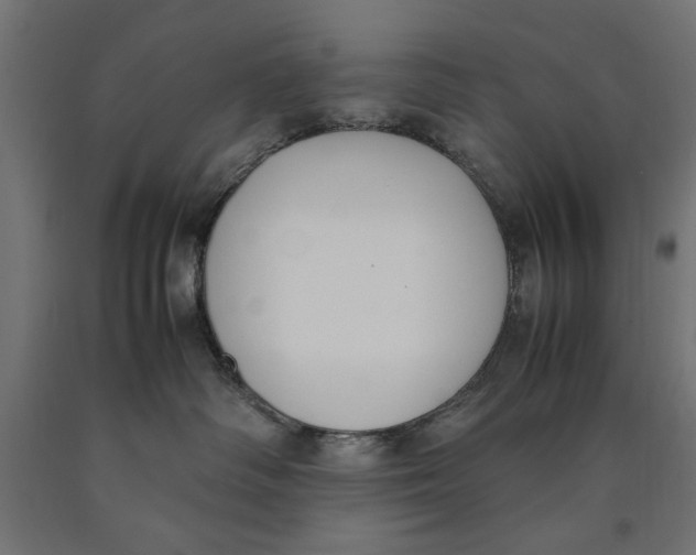 X0000090410334200708031048