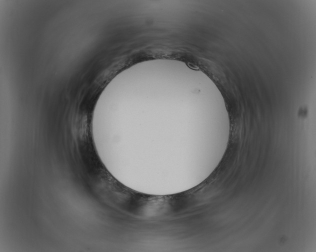 X0000090410335200708031048
