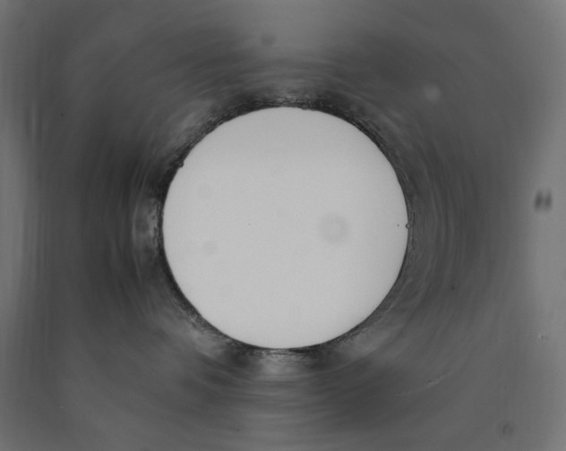 X0000090410336200708031048