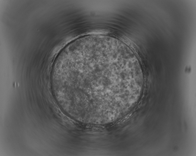 X0000090410337200708031047