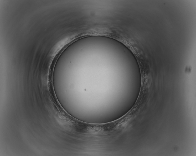 X0000090410340200708031047