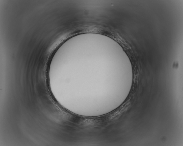 X0000090410341200708031047