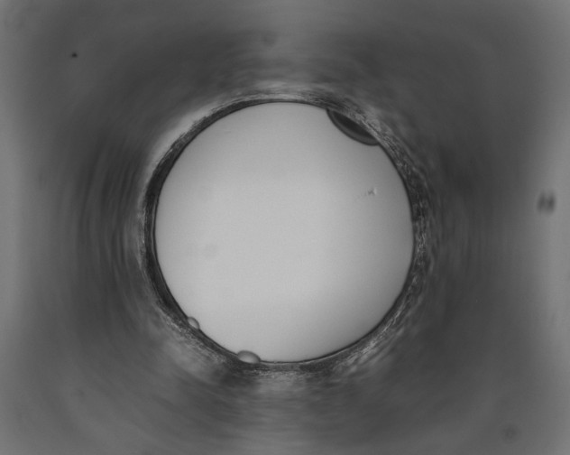 X0000090410342200708031047