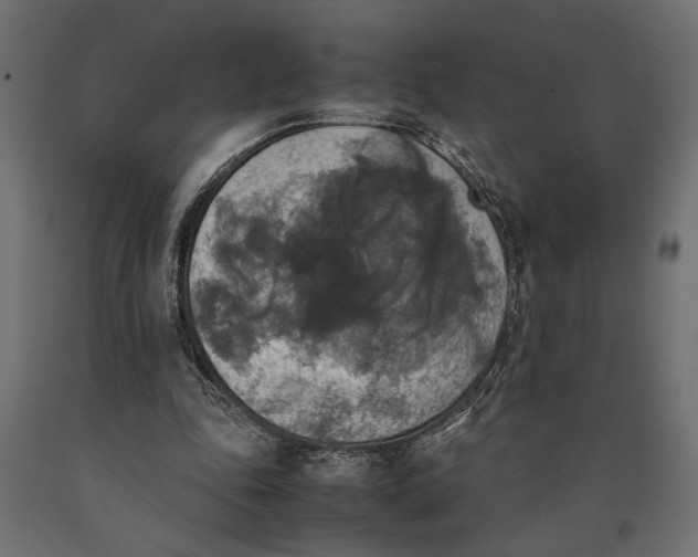 X0000090410343200708031047