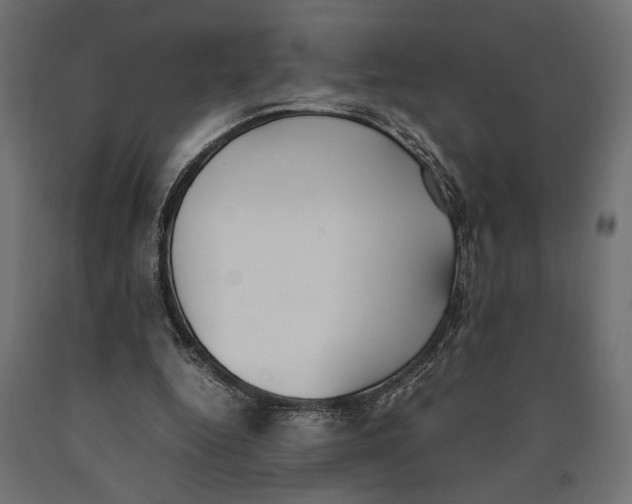 X0000090410344200708031047