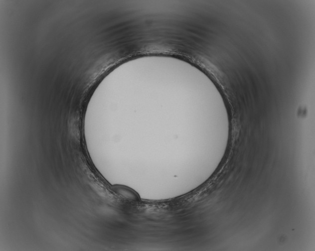 X0000090410345200708031047