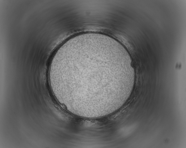 X0000090410346200708031047