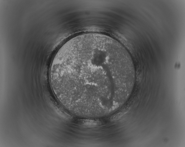 X0000090410347200708031047
