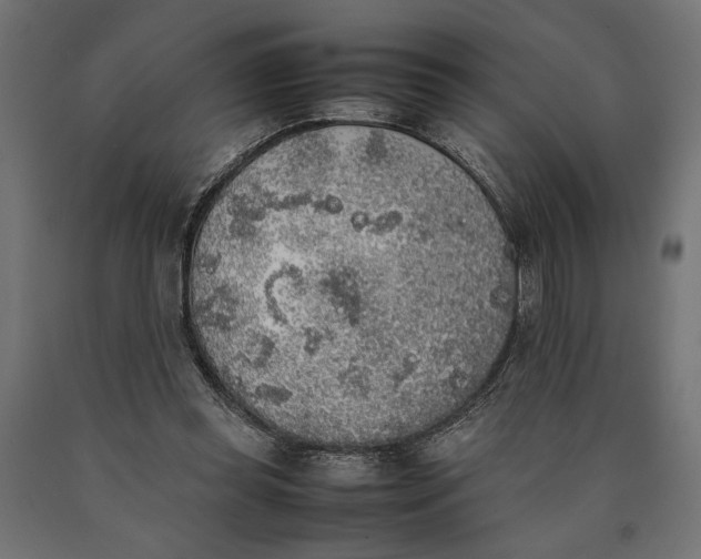 X0000090410349200708031047