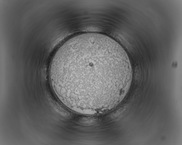 X0000090410351200708031047