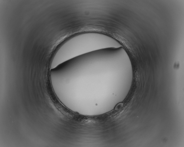 X0000090410352200708031047