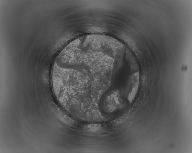 X0000090410353200708031047