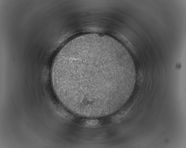 X0000090410355200708031048