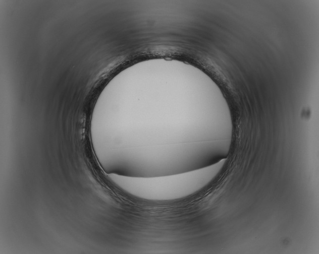 X0000090410356200708031048