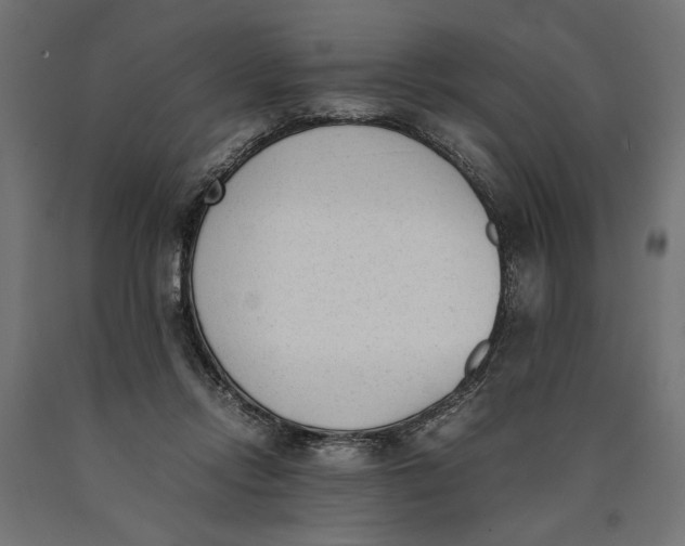 X0000090410358200708031048