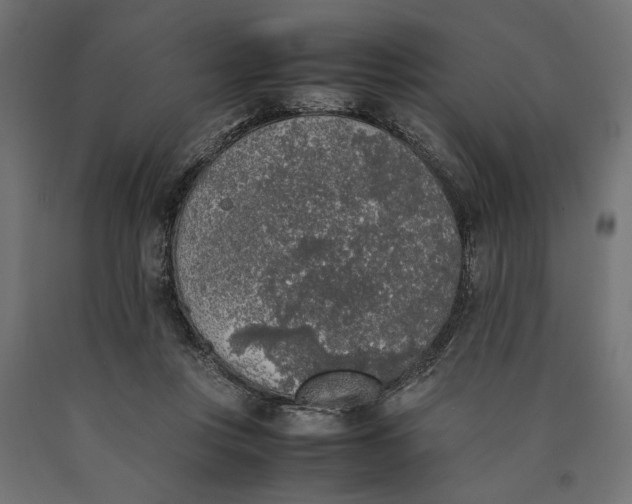 X0000090410359200708031048