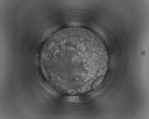 X0000090410361200708031048
