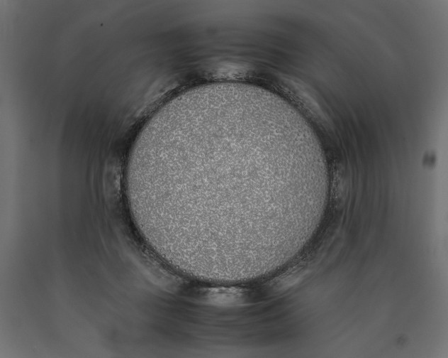 X0000090410363200708031048