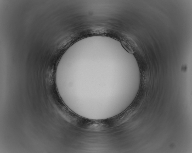 X0000090410364200708031048