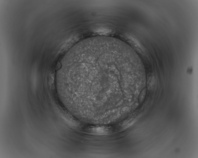 X0000090410365200708031048