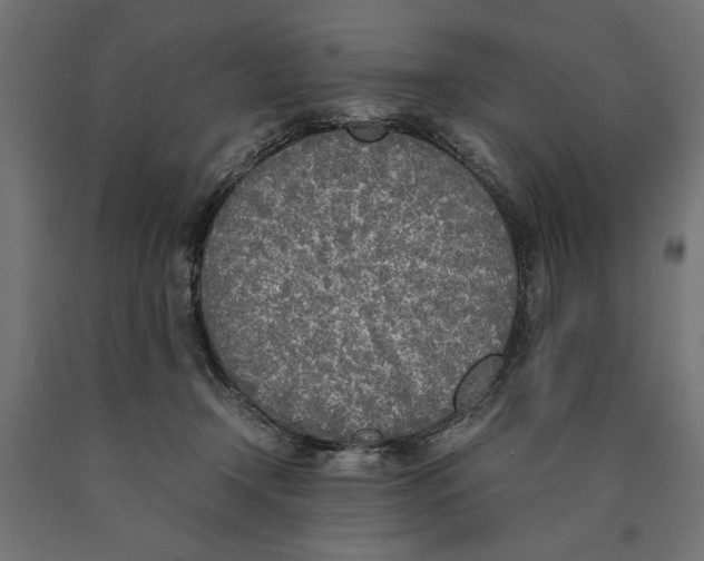 X0000090410366200708031048